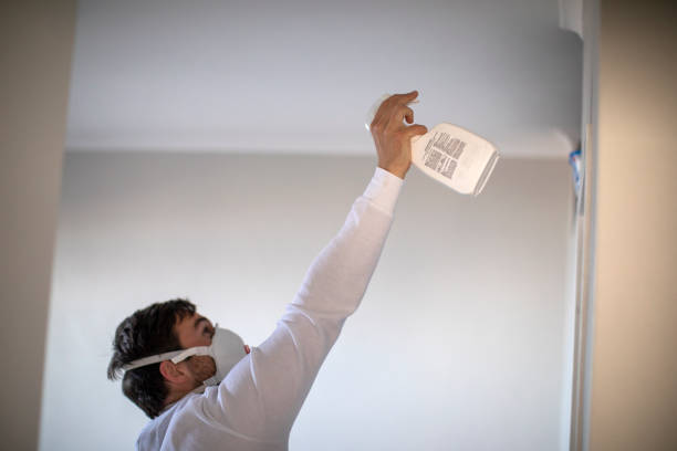 Best Local Mold Removal Service  in Mpo, CA