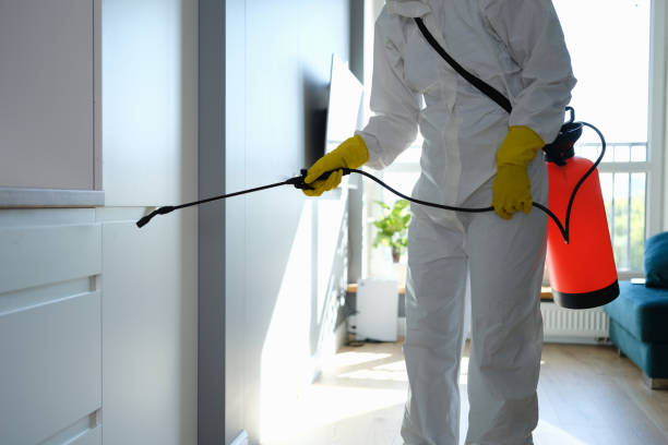 Best Toxic Mold Removal  in Mpo, CA