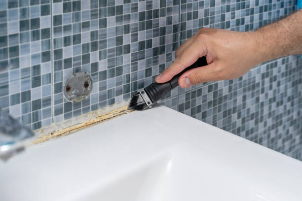 Best Certified Mold Removal  in Mpo, CA